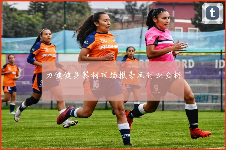 力健健身器材市场报告及行业分析