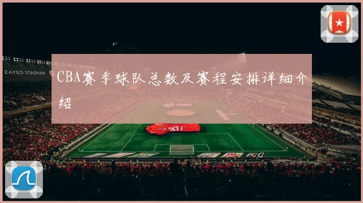 CBA赛季球队总数及赛程安排详细介绍