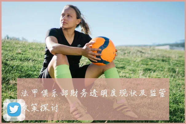 法甲俱乐部财务透明度现状及监管政策探讨